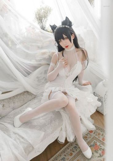 一夜七次郎在线观看