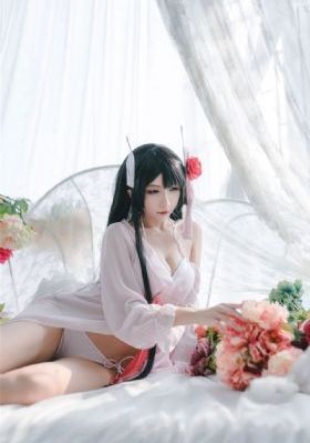 我妻子的客人